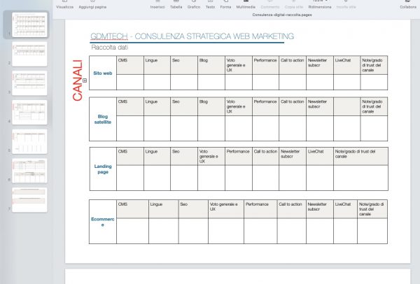 modello raccolta dati consulenza marketing digitale 